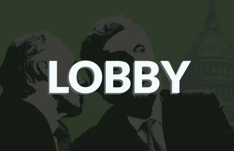 How Economic Lobbies Can Influence Capital Allocation, Inequality, and Sustainable Development
